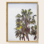 Malibu Palms x California Palm Trees Photography Serving Tray Gallery Image 1