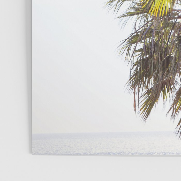 Malibu Palms x California Palm Trees Photography Poster Gallery Image 3