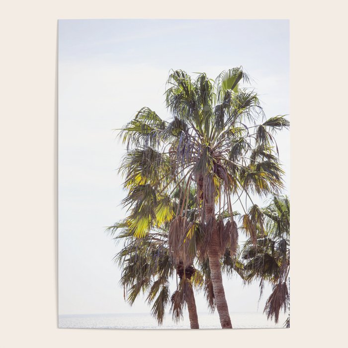 Malibu Palms x California Palm Trees Photography Poster Gallery Image 4