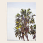 Malibu Palms x California Palm Trees Photography Poster Gallery Image 4