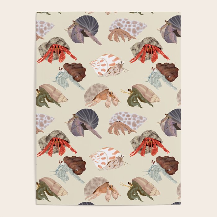 Hermit Crabs Poster
