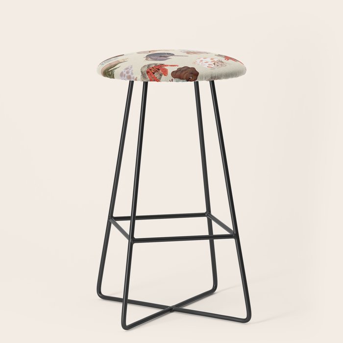 Hermit Crabs Stool Gallery Image 1