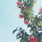 Spring Garden Coffee Mug Gallery Image 2