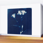 Magic in the Ordinary #2 Wall Mural Gallery Image 2