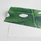 Monstera Leaf Wrapping Paper Gallery Image 2