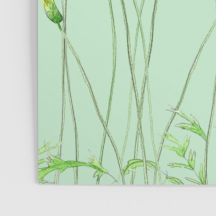 Yellow Wildflowers II Poster Gallery Image 3