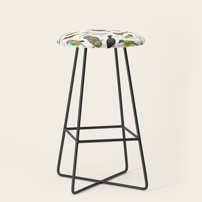 Endangered Birds Around the World Stool Gallery Image 1