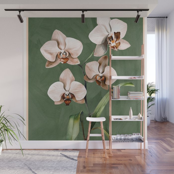 White Orchid Floral Art 4  Wall Mural Gallery Image 1