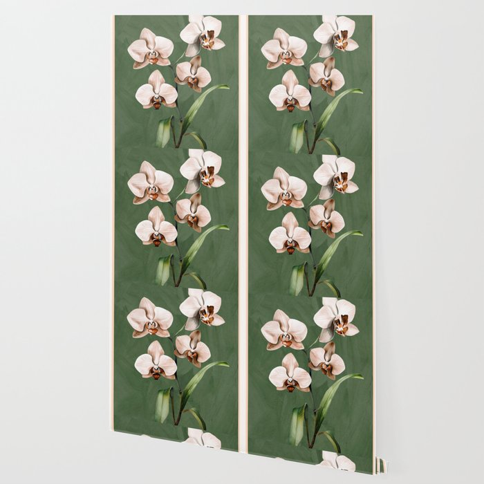 White Orchid Floral Art 4  Wallpaper Gallery Image 2