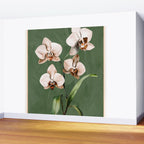 White Orchid Floral Art 4  Wall Mural Gallery Image 2
