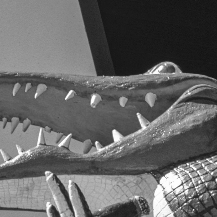 Gatorland Zoo alligator statue Route 1 St. Augustine, Florida everglades black and white photograph Coffee Mug Gallery Image 2