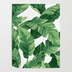 Tropical banana leaves IV Poster Gallery Image 4