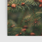 Spruce Tips Poster Gallery Image 3