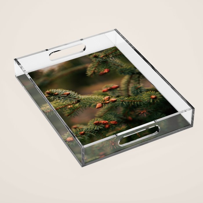 Spruce Tips Acrylic Tray Gallery Image 1