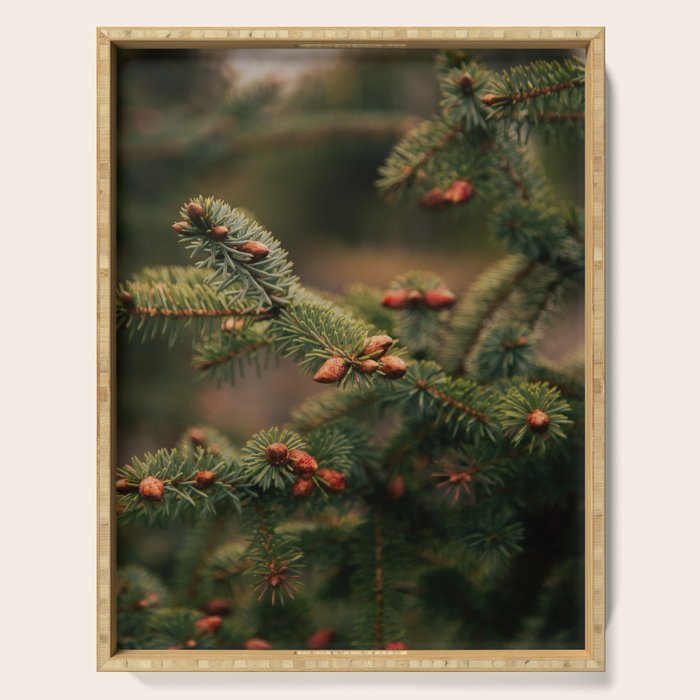 Spruce Tips Serving Tray Gallery Image 1