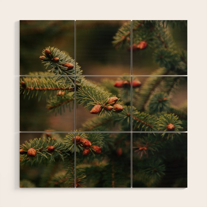 Spruce Tips Wood Wall Art Gallery Image 1