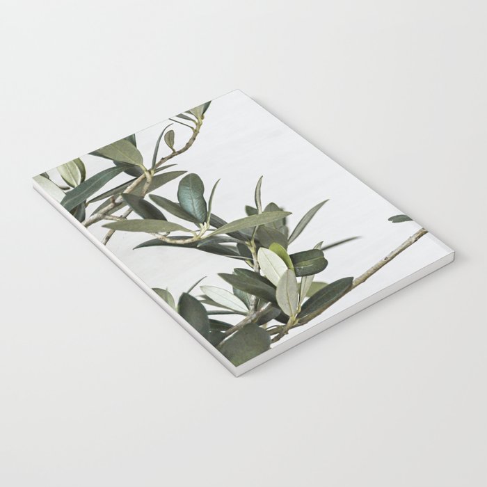 Green Olive Tree Leaves Photo | Botanical Spain Art Print Tenerife Island Nature Travel Photography Notebook Gallery Image 3