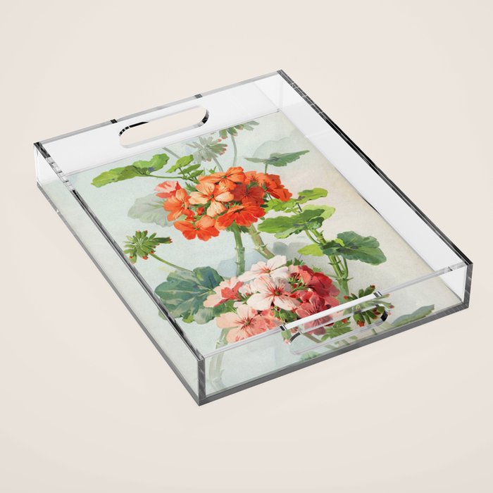 Panneaux de Fleurs  1900 Watercolor Geranium Illustration Acrylic Tray Gallery Image 1