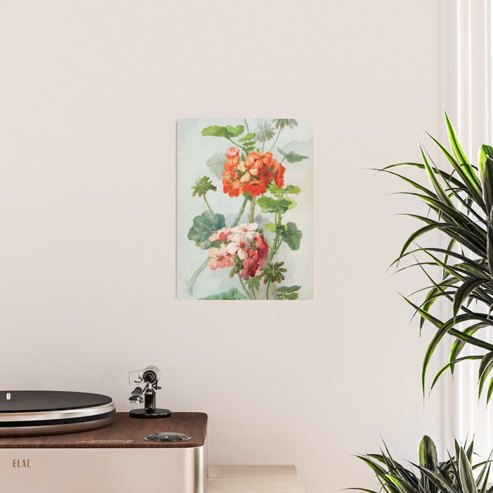 Panneaux de Fleurs  1900 Watercolor Geranium Illustration Poster Gallery Image 2