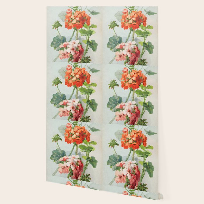 Panneaux de Fleurs  1900 Watercolor Geranium Illustration Wallpaper Gallery Image 2