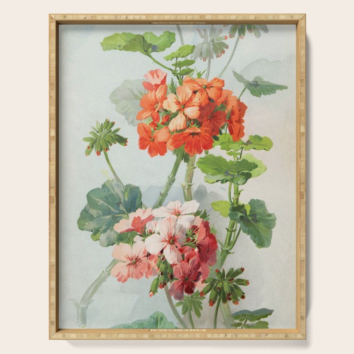Panneaux de Fleurs  1900 Watercolor Geranium Illustration Serving Tray Gallery Image 1