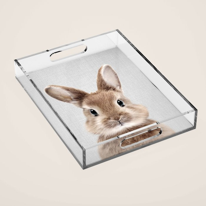 Baby Rabbit - Colorful Acrylic Tray Gallery Image 1