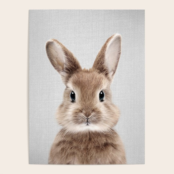 Baby Rabbit - Colorful Poster Gallery Image 4