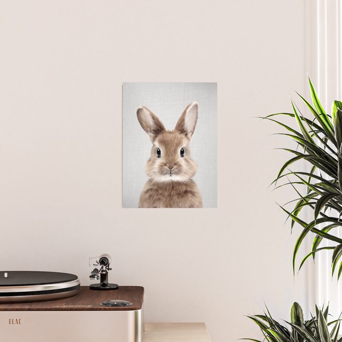 Baby Rabbit - Colorful Poster Gallery Image 2
