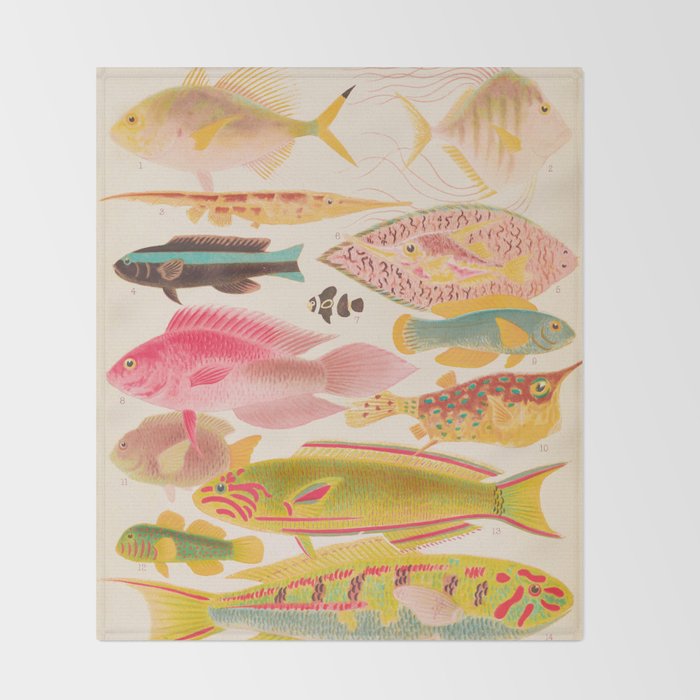 Colorful Tropical Fishes Vintage Sea Life Illustration Throw Blanket Gallery Image 2