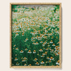 Little White Flowers in a Garden Serving Tray Gallery Image 1