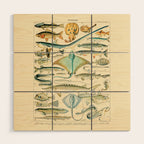 Vintage Fishing Diagram // Poissons II by Adolphe Millot 19th Century Science Textbook Artwork Wood Wall Art Gallery Image 1