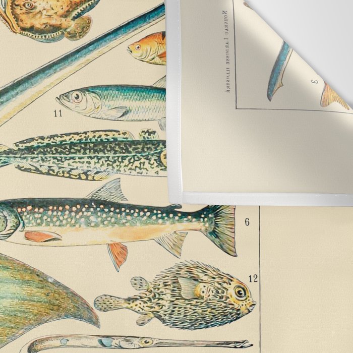 Vintage Fishing Diagram // Poissons II by Adolphe Millot 19th Century Science Textbook Artwork Wall Tapestry Gallery Image 3