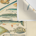 Vintage Fishing Diagram // Poissons II by Adolphe Millot 19th Century Science Textbook Artwork Wall Tapestry Gallery Image 3
