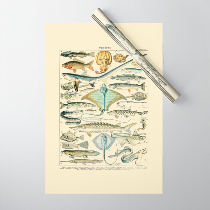 Vintage Fishing Diagram // Poissons II by Adolphe Millot 19th Century Science Textbook Artwork Wrapping Paper Gallery Image 1