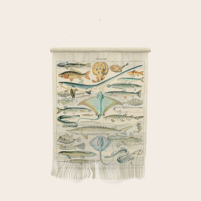 Vintage Fishing Diagram // Poissons II by Adolphe Millot 19th Century Science Textbook Artwork Wall Hanging Gallery Image 1