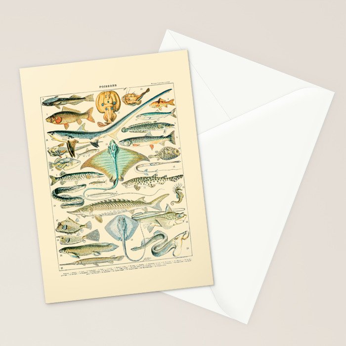 Vintage Fishing Diagram // Poissons II by Adolphe Millot 19th Century Science Textbook Artwork Stationery Card Gallery Image 2