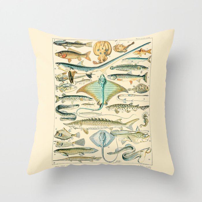 Vintage Fishing Diagram // Poissons II by Adolphe Millot 19th Century Science Textbook Artwork Throw Pillow Gallery Image 6