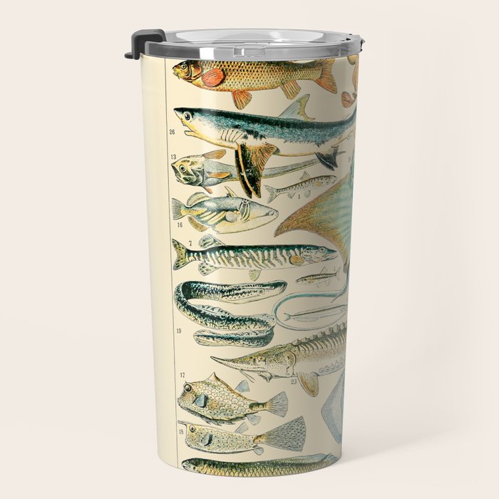 Vintage Fishing Diagram // Poissons II by Adolphe Millot 19th Century Science Textbook Artwork Travel Mug Gallery Image 3