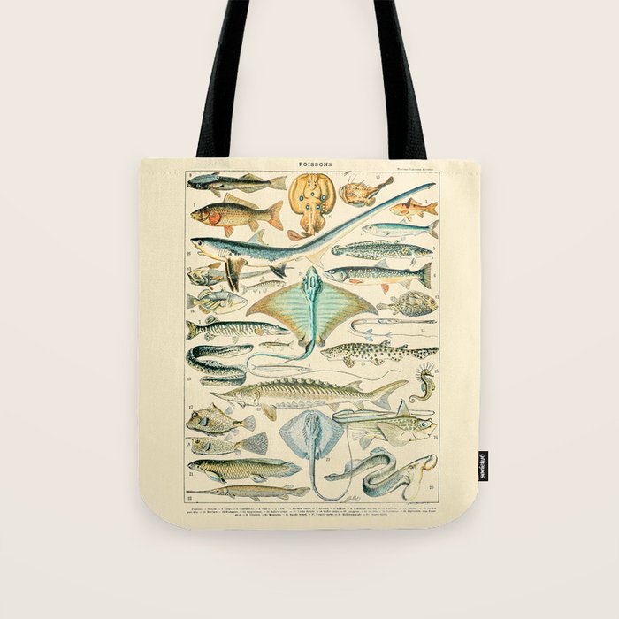 Vintage Fishing Diagram // Poissons II by Adolphe Millot 19th Century Science Textbook Artwork Tote Bag Gallery Image 1