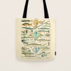 Vintage Fishing Diagram // Poissons II by Adolphe Millot 19th Century Science Textbook Artwork Tote Bag Gallery Image 1