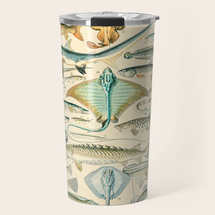 Vintage Fishing Diagram // Poissons II by Adolphe Millot 19th Century Science Textbook Artwork Travel Mug Gallery Image 1