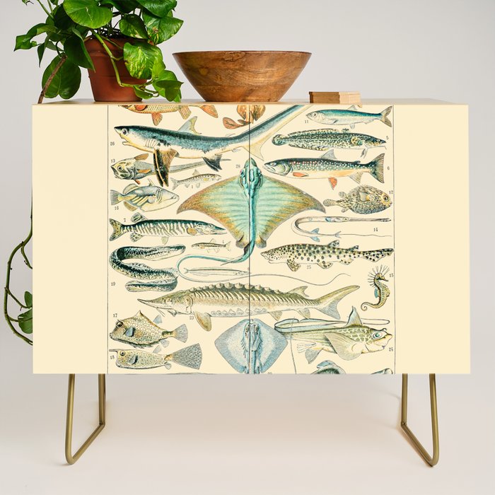 Vintage Fishing Diagram // Poissons II by Adolphe Millot 19th Century Science Textbook Artwork Credenza Gallery Image 1