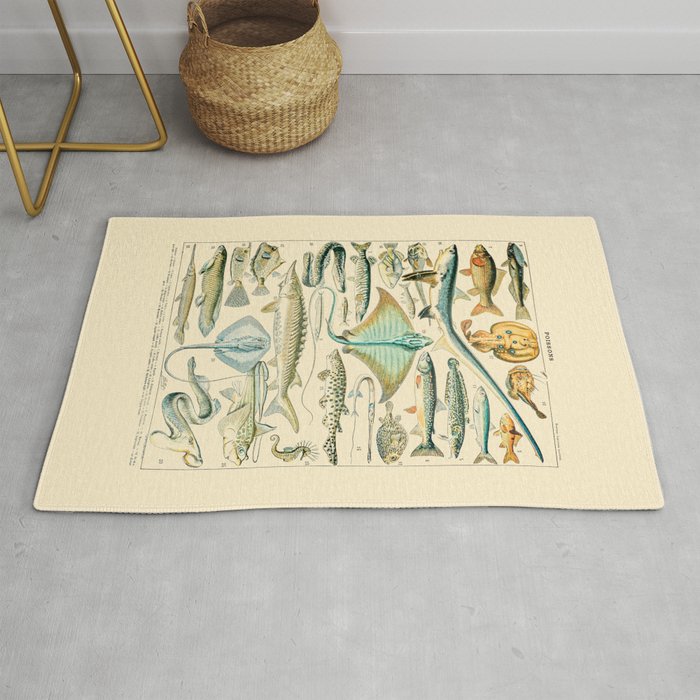 Vintage Fishing Diagram // Poissons II by Adolphe Millot 19th Century Science Textbook Artwork Rug Gallery Image 1