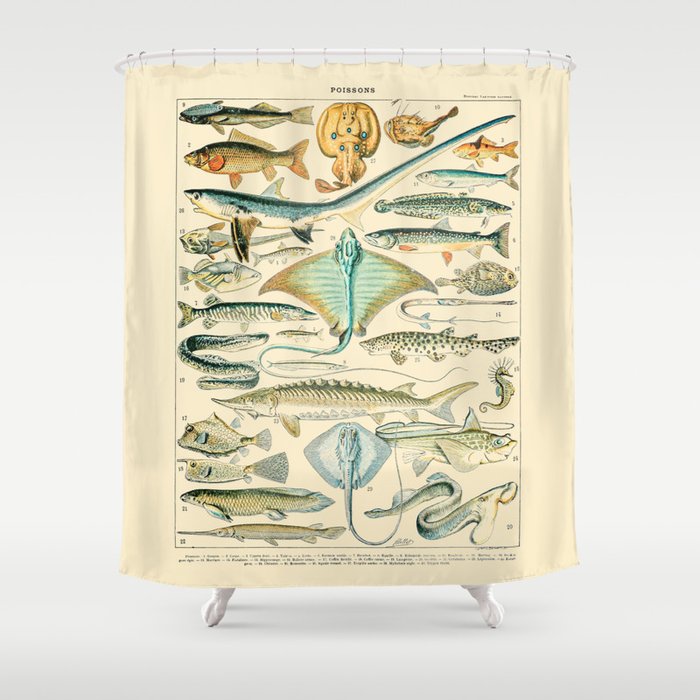 Vintage Fishing Diagram // Poissons II by Adolphe Millot 19th Century Science Textbook Artwork Shower Curtain Gallery Image 1