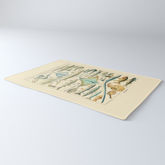 Vintage Fishing Diagram // Poissons II by Adolphe Millot 19th Century Science Textbook Artwork Rug Gallery Image 3