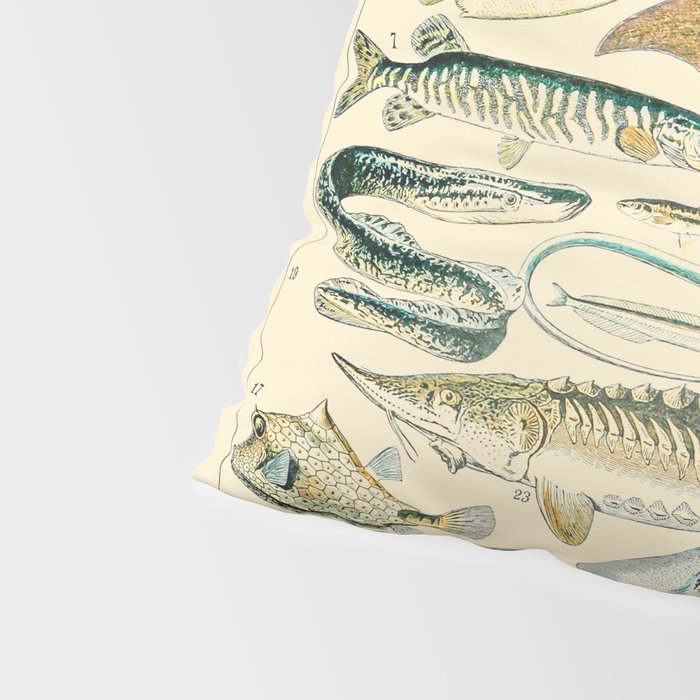Vintage Fishing Diagram // Poissons II by Adolphe Millot 19th Century Science Textbook Artwork Pillow Sham Gallery Image 4