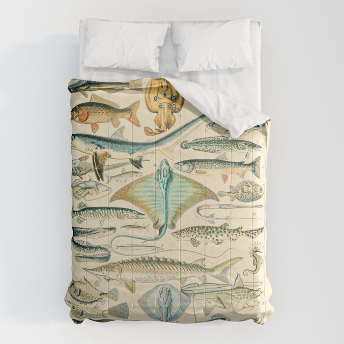 Vintage Fishing Diagram // Poissons II by Adolphe Millot 19th Century Science Textbook Artwork Comforter Gallery Image 6