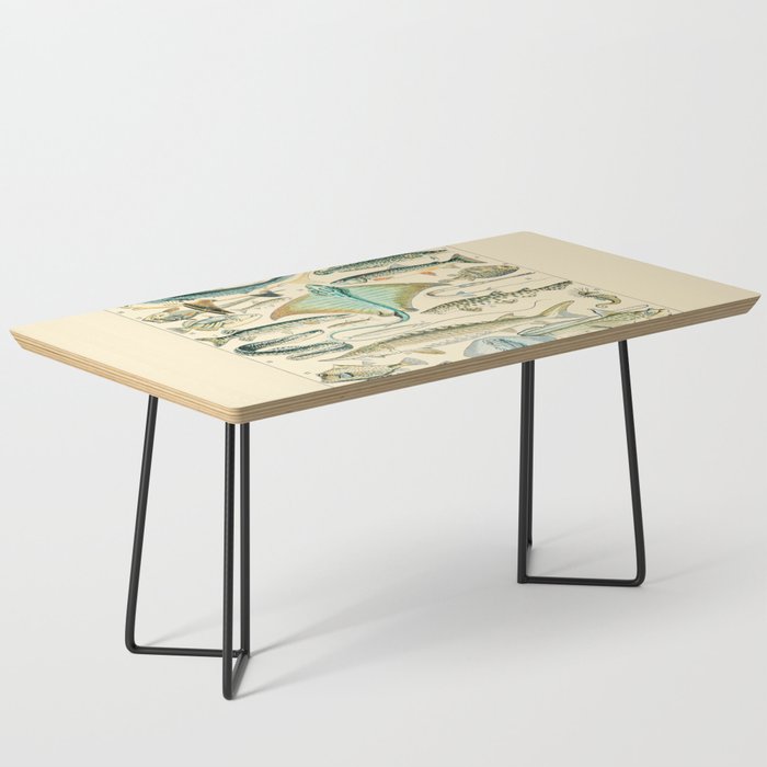 Vintage Fishing Diagram // Poissons II by Adolphe Millot 19th Century Science Textbook Artwork Coffee Table Gallery Image 1