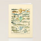 Vintage Fishing Diagram // Poissons II by Adolphe Millot 19th Century Science Textbook Artwork Stationery Card Gallery Image 2