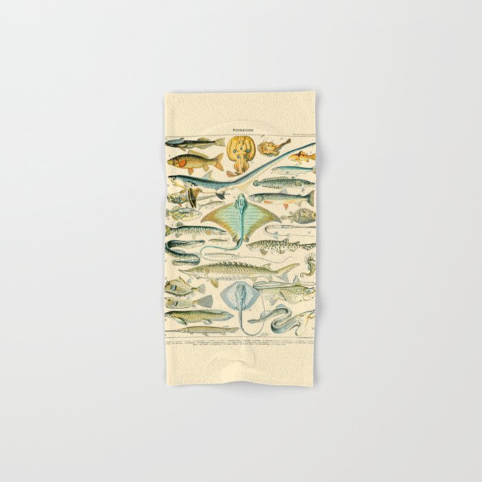 Vintage Fishing Diagram // Poissons II by Adolphe Millot 19th Century Science Textbook Artwork Bath Towel Gallery Image 1